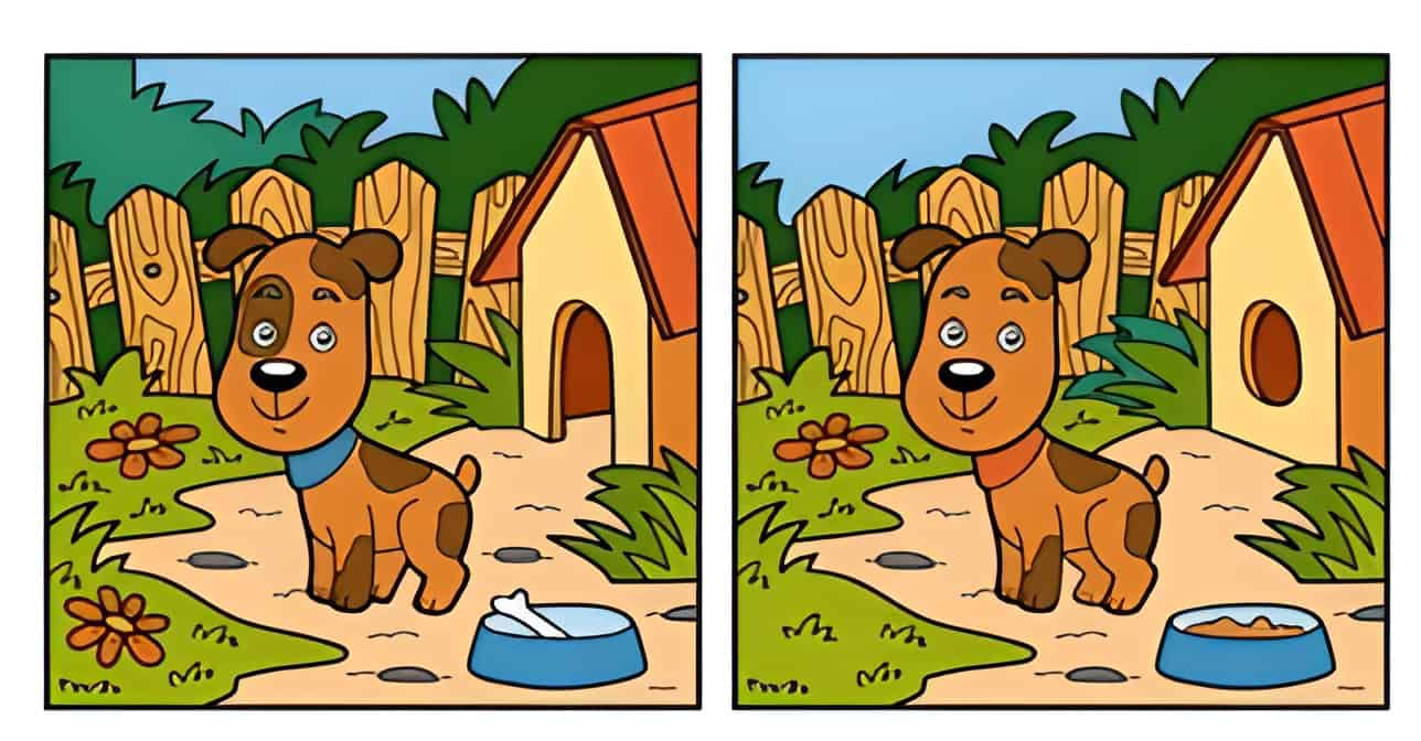 Spot 10 Differences Between Two Pictures With Answers - BEST GAMES